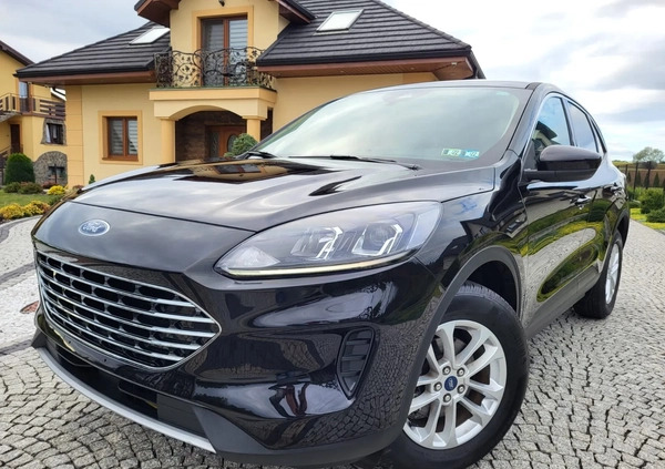 Ford Kuga cena 81500 przebieg: 33000, rok produkcji 2021 z Tarnów małe 436